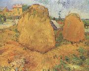Vincent Van Gogh Haystacks in Provence (nn04) Germany oil painting artist